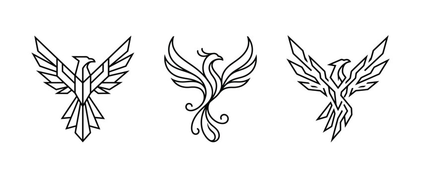 Three vector illustrations of a phoenix bird in various styles isolated