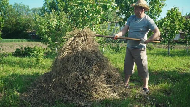 Man in straw hat shovels hay from a pile in a sunny garden, surrounded by trees and greenery, showcasing agricultural activity in a rural setting