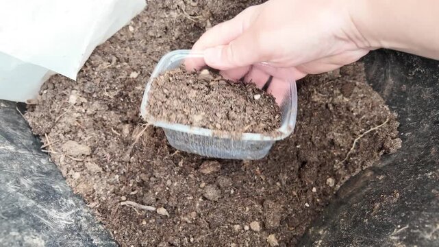 Close up video of deep container filled with chunky garden soil during planting preparation. Human hand uses small plastic container to scoop and shake loose soil while visible roots stick out from