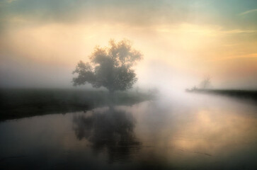 Fototapeta premium Solitary tree reflected in calm river water at misty sunrise