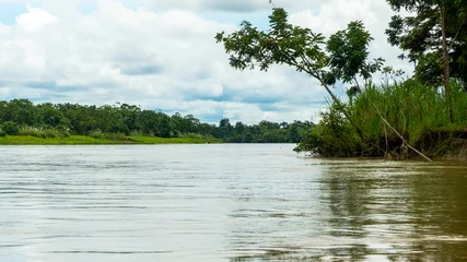 Fototapeten Wald Fluss Wide tropical river flowing through a lush green jungle landscape under a cloudy sky with dense vegetation along the muddy riverbank.  © RRestrepo