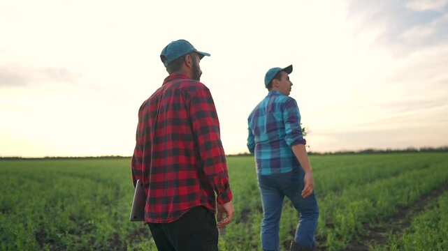 Farmer walks ahead green field. Man follows observing agriculture teamwork. Soil underlines nature success for farmer. Teamwork leads crop growth agriculture. Field stretches showing teamwork effort.