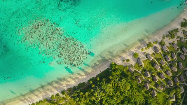 Moorea island luxurious beachfront resort, thatched roof bungalows nestled within lush tropical greenery, borders white sand beach, vibrant turquoise lagoon revealing a shallow coral reef. Aerial view