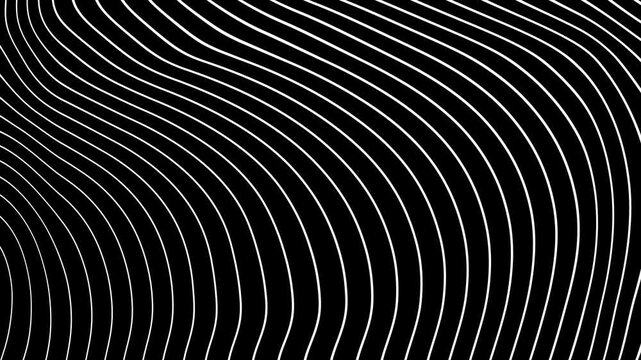 Seamless looped black and white abstract wave pattern distorting and warping. Hypnotic optical illusion with flowing white lines on a black background creating a psychedelic effect