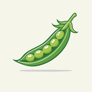 Illustration of a single pea pod with five peas