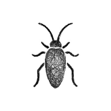 Sketch monochrome cockroach icon design