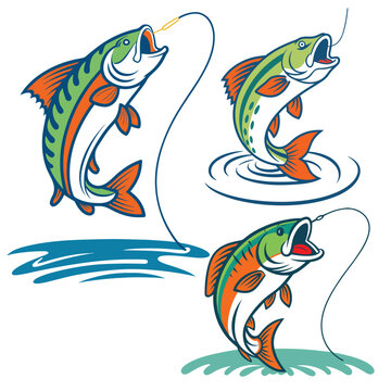 Fish set features three colorful illustrations of jumping bass hooked on fishing lines with water splashes.
