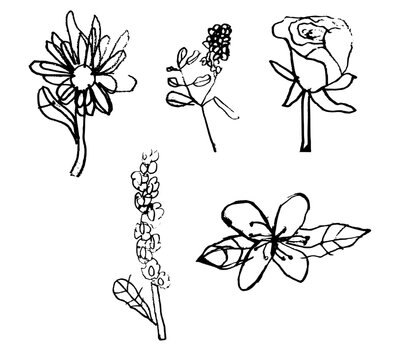 Hand-drawn floral vector set featuring rose, lilac, jasmine, aster and stock flowers Hand-drawn flowers, children's drawing