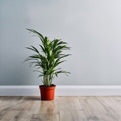 Fototapeta premium Green Plant in a Pot Standing on Wooden Floor in a Room With Light Blue Walls
