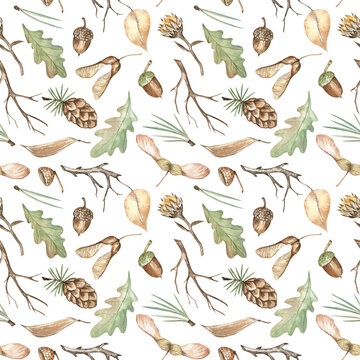 Autumn seamless pattern of the forest elements: maple seeds, pine cones, oak leaves, acorns, and twigs. Elegant watercolor design botany lovers, gardeners, travelers, rustic style admirers