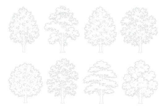 Mixed Crown Shape Tree Set Side Elevation Dotted Outline Vector for Architectural Site Plans and Landscape Drawings