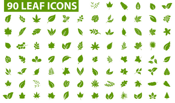 Green floral alphabet letters made from eco leaves and natural icons plants design