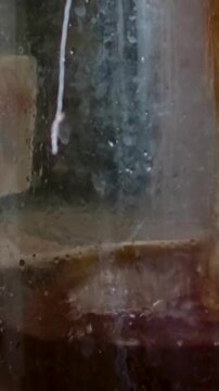 Kombucha is prepared in a large glass jar during the fermentation process. The drink is then poured into a glass, showing a natural homemade beverage in a clean and simple setting. 