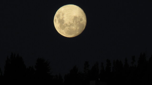 full moon in the night