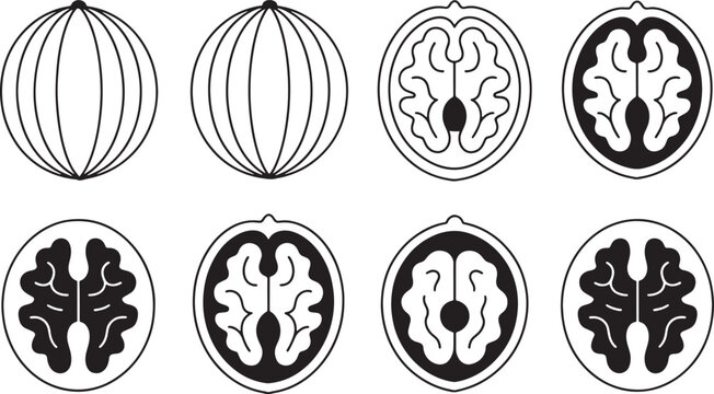 walnuts and their inner structure Simple line art icons representing bundle set
