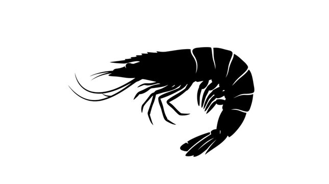 Shrimp Silhouette Against A White Background Minimalist Marine Creature
