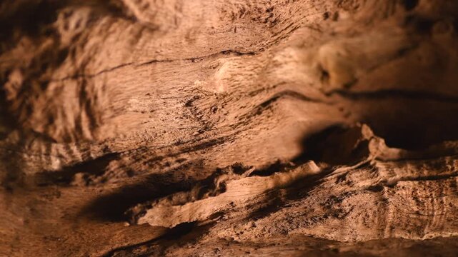 Old wood background texture. Brown color of natural eco oak ancient wooden textured backdrop, slab, close-up. 