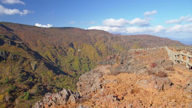 みやぎ蔵王三十六景 駒草平 Miyagi Zao Thirty-Six Views: Komakusa-daira
