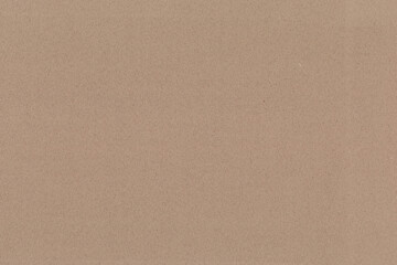 Fototapeta premium Beige textured paper background with a subtle grainy style