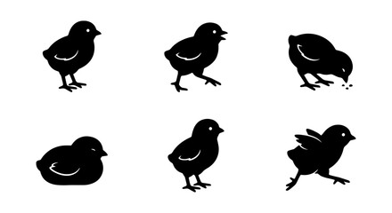 Chicks Vector Icons, Cute Baby Bird Silhouettes, Farm Animal Graphics, Spring Easter Icons © NABILA