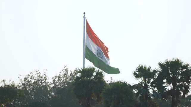 Large Indian tricolor flag flying high on flagpole with tropical tree row