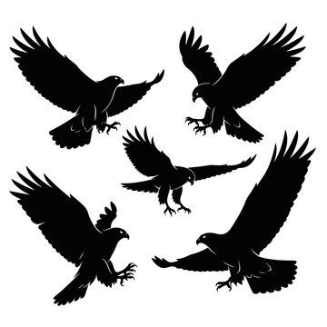 Set of silhouettes of eagles flying and attacking.