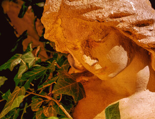 Obraz premium Warm sunlight illuminating a peaceful angel statue surrounded by ivy leaves.