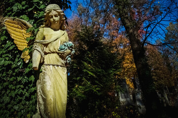 Obraz premium Angel statue in cemetery surrounded by autumn trees and ivy. Copy space for text or design.