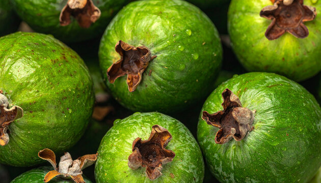 Macro background texture of fresh green feijoa fruits with water drops. Close up top view of Acca sellowiana or pineapple guava pile, organic tropical food backdrop for healthy lifestyle concepts.