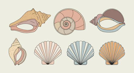 Retro Ocean Shell Bundle, Nautilus Conch Scallop and Sea Snail Shells, Minimal Flat Vector Set © ANAK