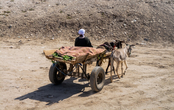Man going to the market on a donkey cart in the desert. Produce on the cart