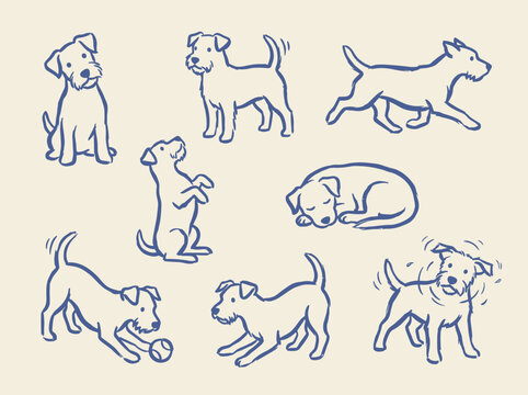 Hand drawn dog sketches in blue line art, collection of 8 terrier puppy illustrations, minimalist canine character set for pet branding