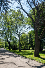 Obraz premium Borisova gradina (Boris Garden) in city of Sofia, Bulgaria