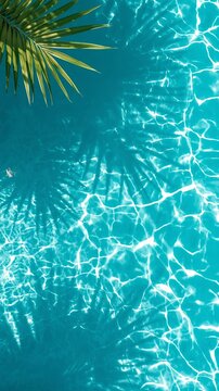 Tropical palm leaves over sparkling blue pool water.