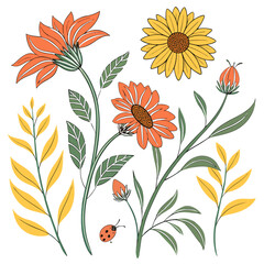 Floral collection featuring orange and yellow daisies green leaves a ladybug hand-drawn botanical elements, botanical © Jahid
