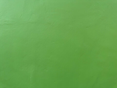 Expansive verdant surface revealing nuanced textural variations creating a serene backdrop