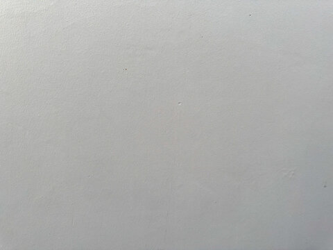 Smooth yet nuanced light gray architectural surface provides a pristine and tranquil backdrop for