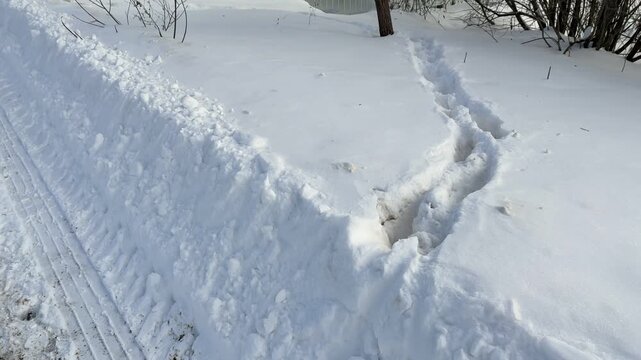 Footprints in snow near fence showing meandering human path along guarded perimeter, adjacent tire tracks suggest vehicle access.