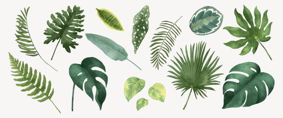Naklejka premium Vector of various green tropical leaves on a light background.