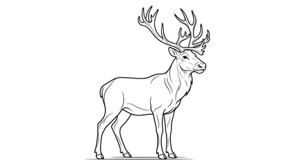 Detailed reindeer sketch with antlers on white background © Satria