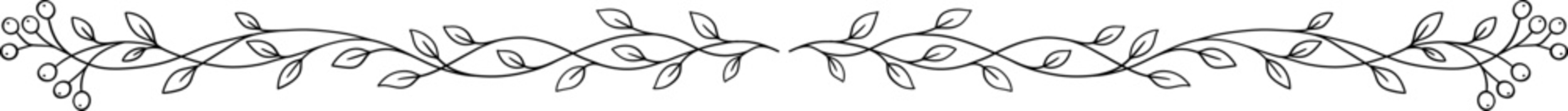 Hand Drawn Minimalist Botanical Leaf Vine Border