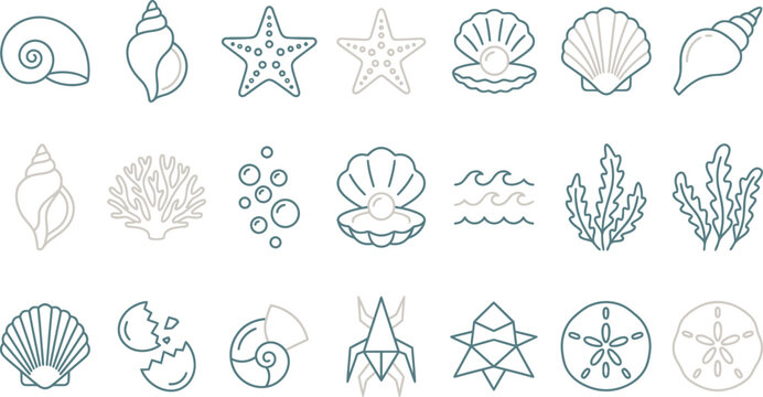 A collection of diverse ocean life and sea shell graphic illustrations in a modern minimalist vector design.