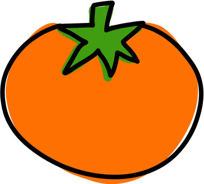 persimmon, 감