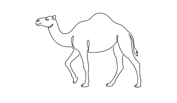 Modern one hump camel outline vector continuous line desert animal design