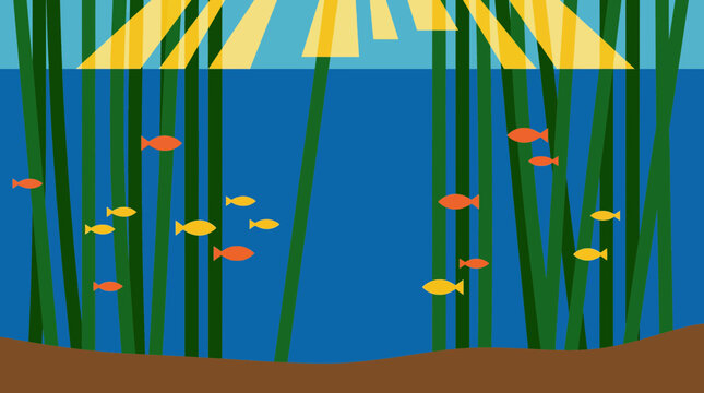 Underwater Kelp Forest with Sunlight Filtering Through