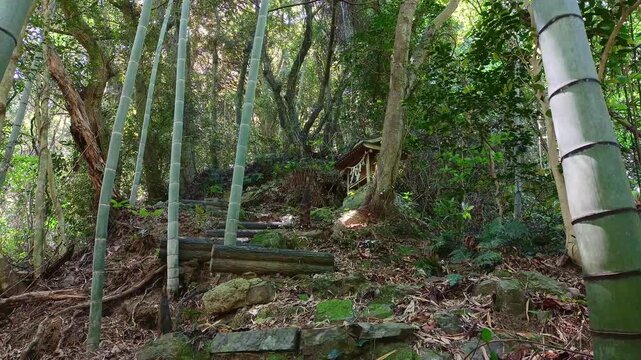 Small Shrine Along a Bamboo Forest Path with Dappled Sunlight in Japan
