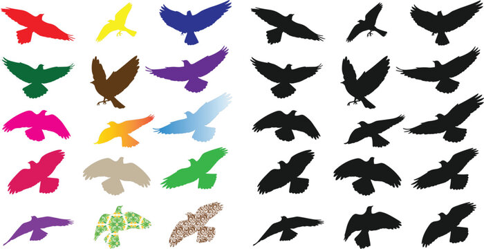 Mega Collection of Flying Bird and Eagle Silhouettes in Multiple Poses Featuring Solid Black Elements, Vibrant Colorful Icons, and Abstract Textured Patterns for Wildlife Graphic Designs