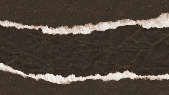 Ripped dark brown paper strip revealing white textured background layer in this dynamic motion video animation for creative design projects