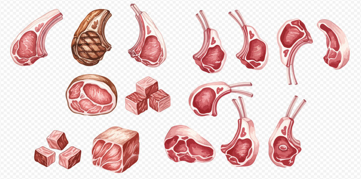 Set of fresh raw meat cuts including lamb chops, steaks, and cubes, ready for cooking.
