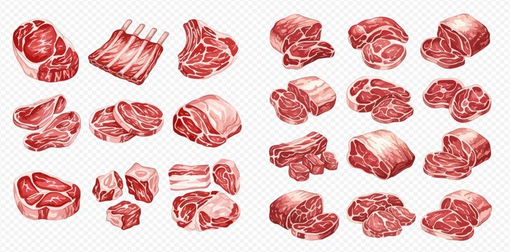 Set of various raw meat cuts including beef, pork, and ribs, ready for cooking.